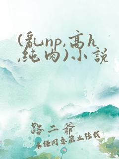 (乱np,高h,纯肉)小说