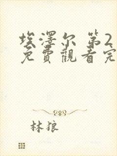 埃泽尔 第2季免费观看完整版