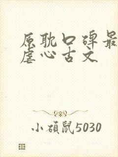 原耽口碑最好的虐心古文