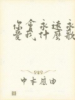 你会永远永远的爱我什么歌