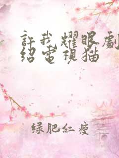 许我耀眼剧情介绍电视猫