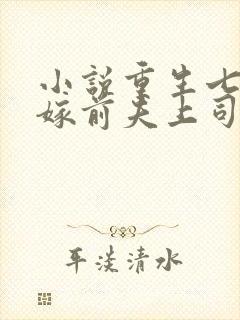 小说重生七零改嫁前夫上司完整版