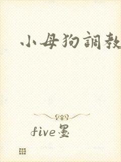 小母狗调教黄色