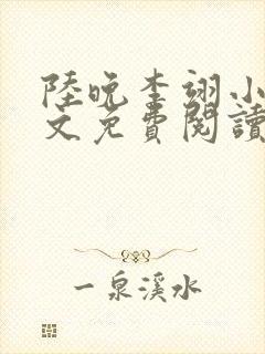 陆晚李翊小说全文免费阅读无弹窗