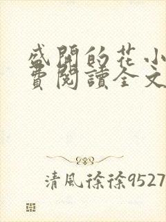 盛开的花小说免费阅读全文