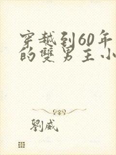 穿越到60年代的双男主小说