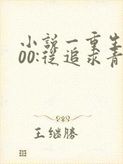 小说一重生2000:从追求青涩校花同桌开始