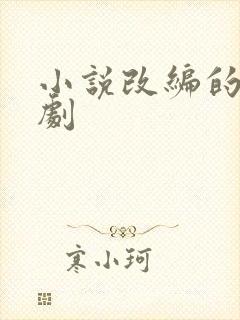 小说改编的古装剧