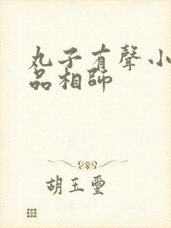 丸子有声小说超品相师