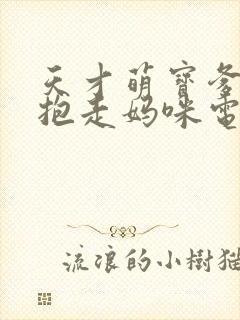 天才萌宝爹地请抱走妈咪电视剧