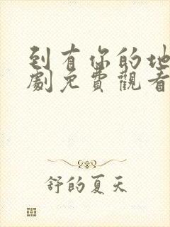 到有你的地方短剧免费观看