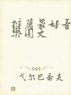 推荐最好看的娱乐圈文