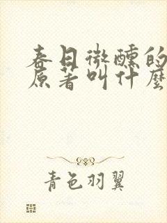 春日微醺的小说原著叫什么