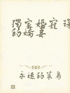 独家婚宠 琛少的娇妻