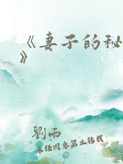 《妻子的秘密2》