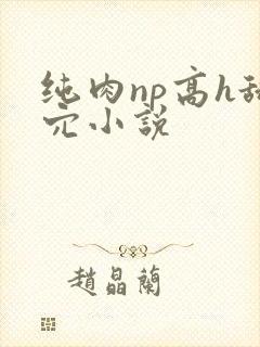 纯肉np高h舔穴小说