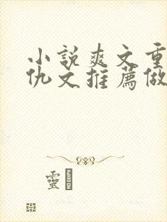 小说爽文重生复仇文推荐做女主