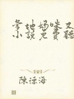 爹地妈咪又跑了小说免费听书