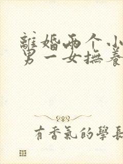 离婚两个小孩一男一女抚养权怎么判定