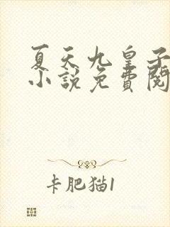 夏天九皇子穿越小说免费阅读最新