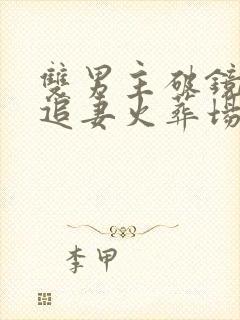 双男主破镜重圆追妻火葬场