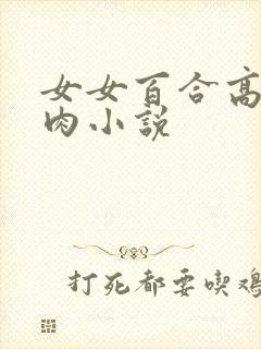 女女百合高h纯肉小说