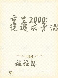 重生2000:从追求青涩校花同桌开始第24章