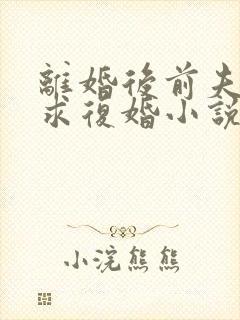 离婚后前夫哭着求复婚小说无弹窗