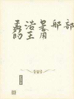 孟浩是哪部小说的主角