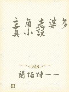 主角老婆多的修真小说