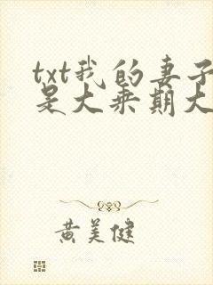 txt我的妻子是大乘期大佬下载