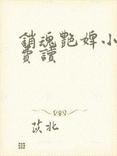 销魂艳婢小说免费读