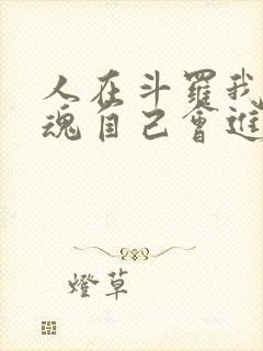 人在斗罗我的武魂自己会进化免费阅读