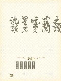 沈星晚霍之洲小说免费阅读最新章节