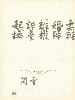 起诉离婚要小孩抚养权归谁