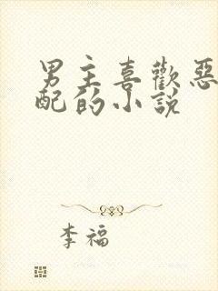 男主喜欢恶毒女配的小说