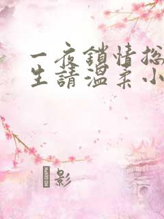 一夜锁情总裁先生请温柔小说全文免费阅读