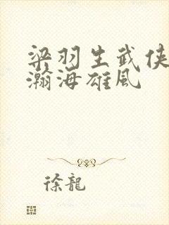 梁羽生武侠小说瀚海雄风