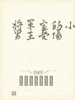 将军家的小娘子男主受伤