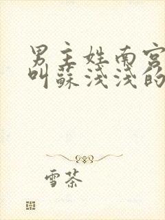 男主姓南宫女主叫苏浅浅的小说