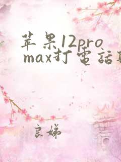 苹果12pro max打电话听不见声音