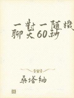 一对一随机视频聊天60秒