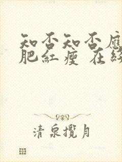 知否知否应是绿肥红瘦 在线免费