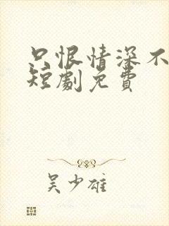 只恨情深不识鸢短剧免费