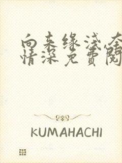 向来缘浅,奈何情深免费阅读全