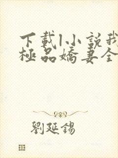 下载l小说我的极品娇妻全部