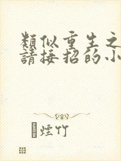 类似重生之老公请接招的小说