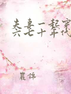 夫妻一起穿越到六七十年代的小说