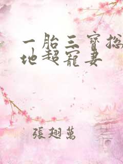 一胎三宝总裁爹地超宠妻