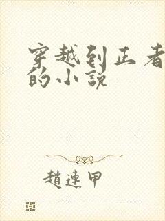 穿越到正者无敌的小说